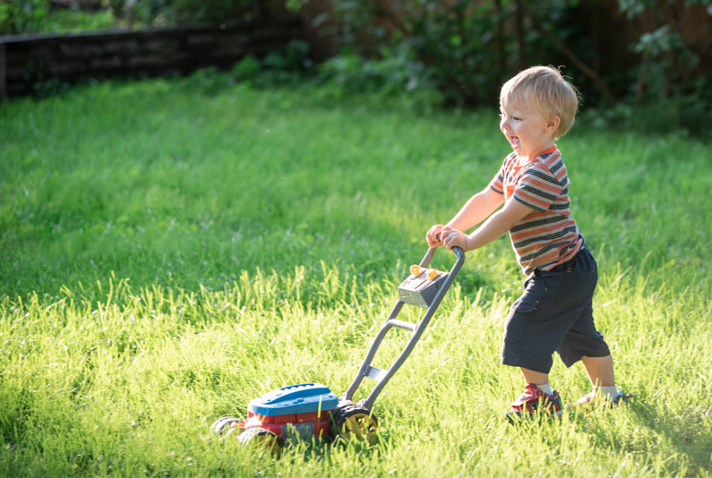Spring 2 Year Old Portrait Family Portrait Studio Delphianblue Danielle Albrecht