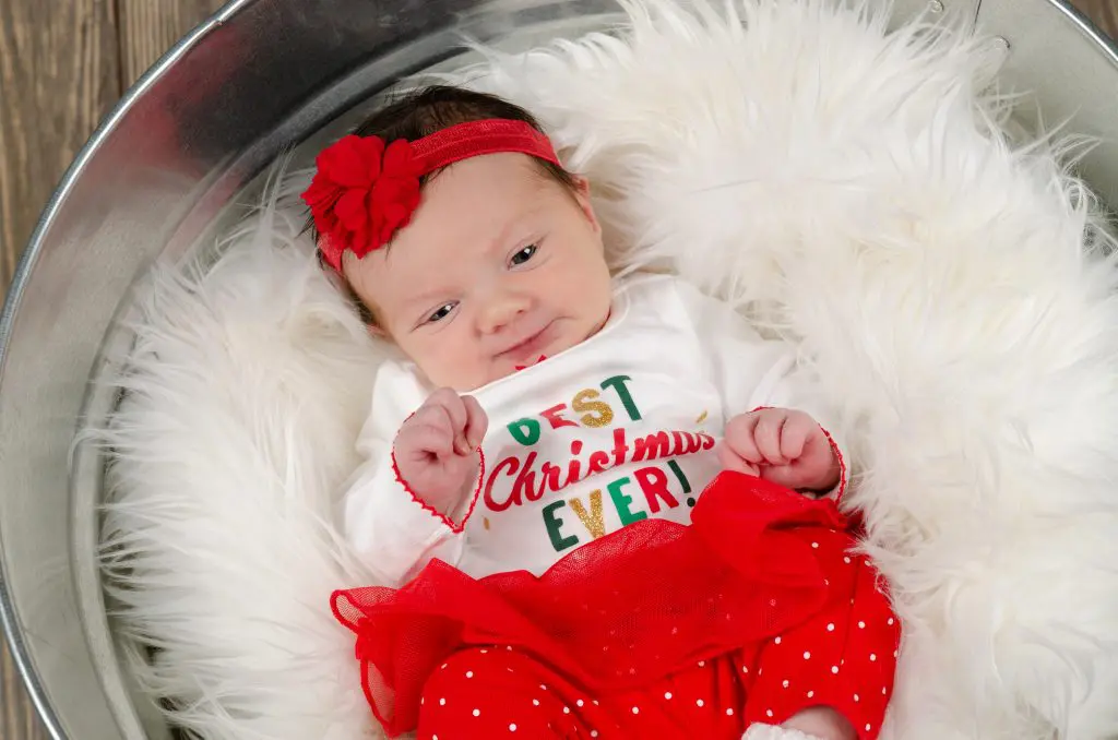 Danielle, Studio Delphianblue, Baby Portrait, Christmas, Minneapolis