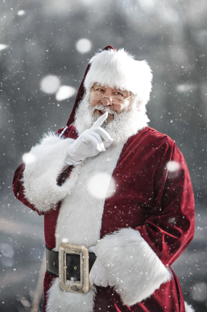 Santa Green - Santa Portrait Session - Photographer Danielle Albrecht