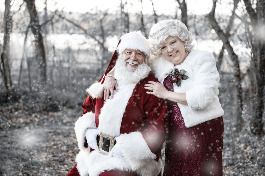 Santa Green - Santa Portrait Session - Photographer Danielle Albrecht