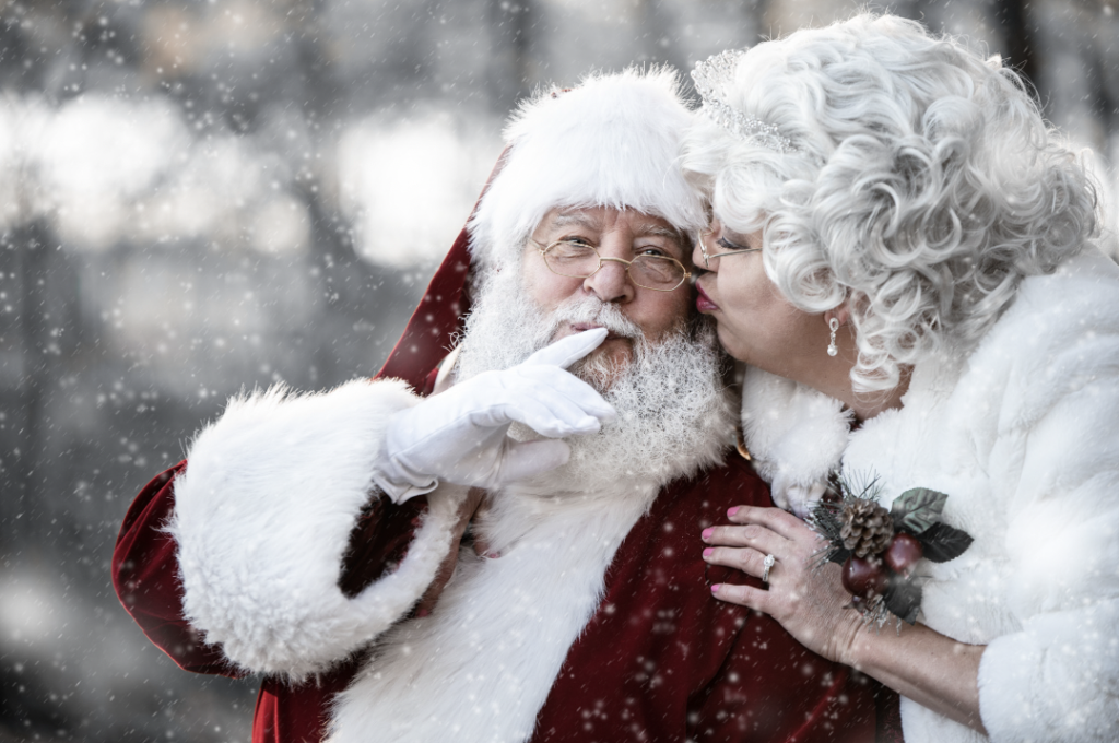 Santa Green - Santa Portrait Session - Photographer Danielle Albrecht