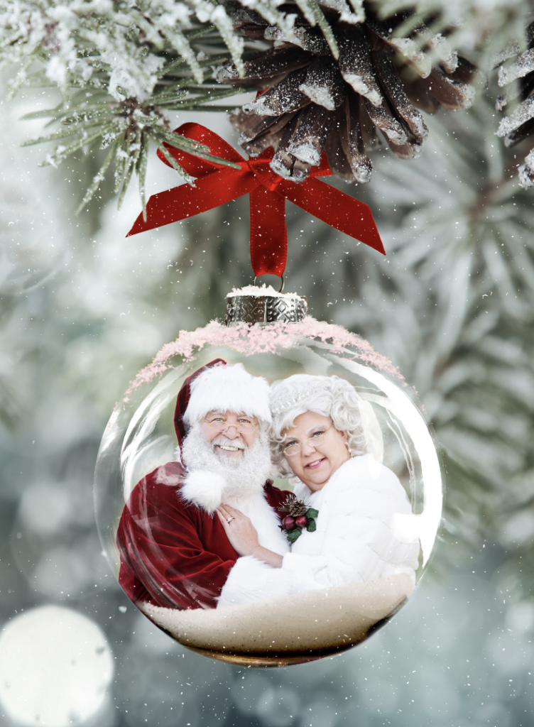 Santa Green - Santa Portrait Session - Photographer Danielle Albrecht